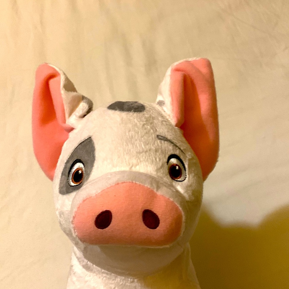 Pua from Disney’s Moana